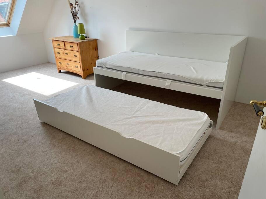 Apartment 105qm-3-raum, Zentral, Ruhig, Gemuetlich Leipzig